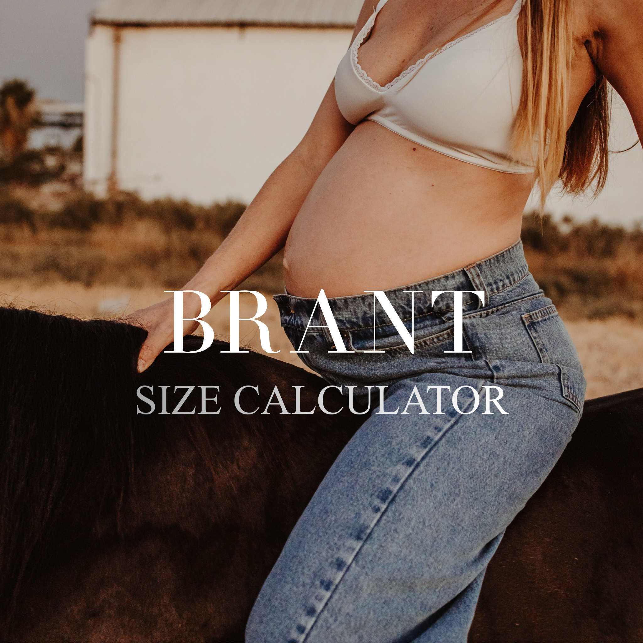 Size calculator - BRANT